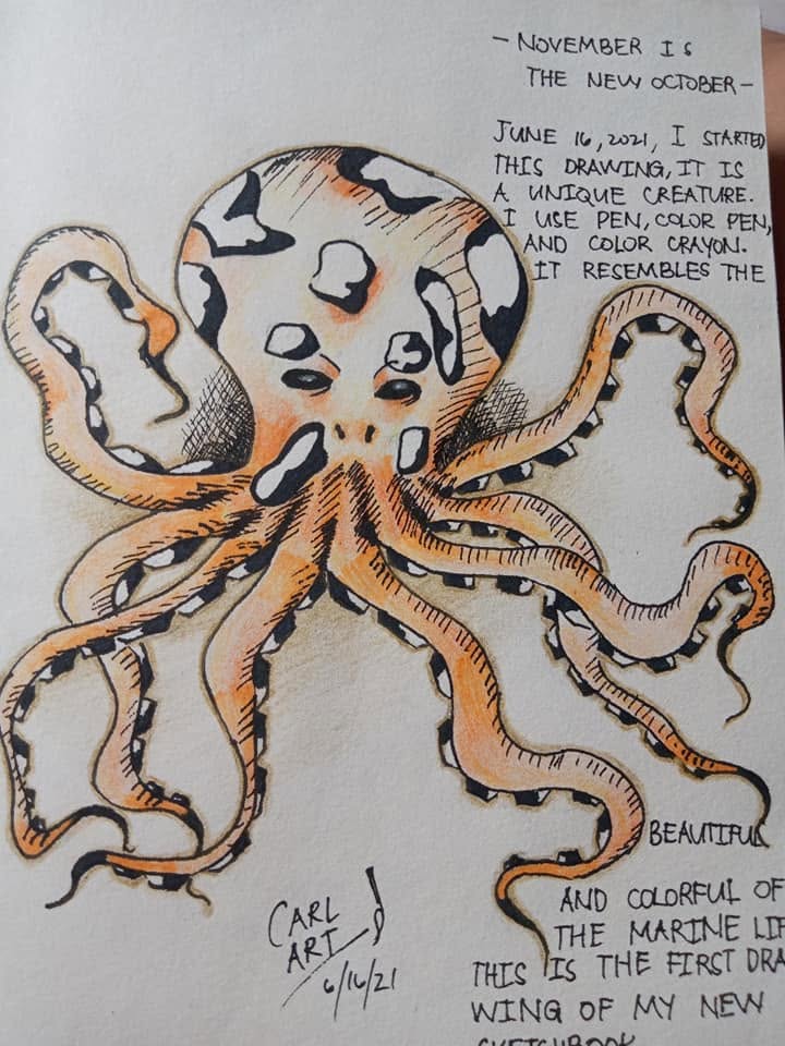A pen drawing of an octopus
